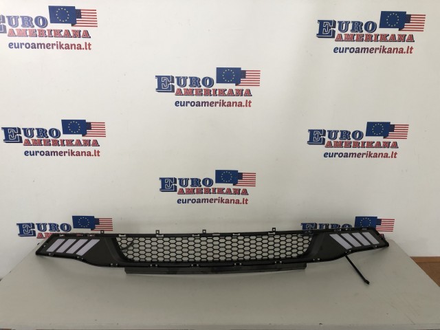Lower Grille (LED, DRL)